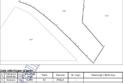 Teren partial intravilan Romani, judetul Neamt, ID: R2326723 - 11