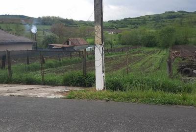 Teren de 1625 mp, în Șmig - 1