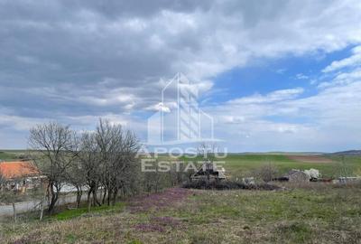 Teren Construcții intravilan de 2896 mp, în Herneacova - 1