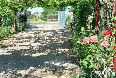 Casă cu 3 camere în Grădina - 7