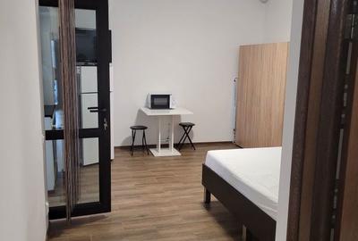 Apartament cu 2 camere semidecomandat în Manolache - 3