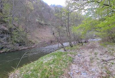 Teren Construcții extravilan de 1297 mp, în Isverna - 10