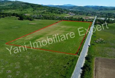 Teren de 69700 mp, în Tigveni - 12