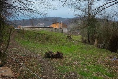 Teren intravilan de 854 mp, în Eșelnița - 3