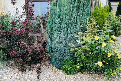 Casă individuală cu 4 camere cu Canalizare în Șelimbăr - 12