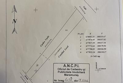 Teren la 13 KM de Baia Mare - 7