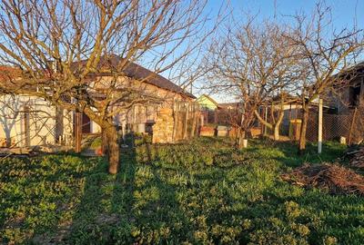 Casă cu 3 camere în Pâncota - 1