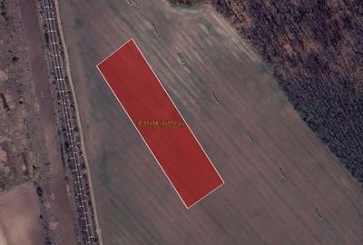 Teren Construcții intravilan de 9407 mp, în Nord-Vest - 1