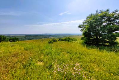 28.554 mp TEREN EXTRAVILAN, TURDA - SĂNDULEȘTI, jud. CLUJ, 300 m de AUTOSTRADA - 22