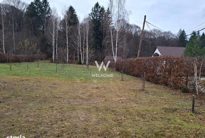 Spațiu comercial, în Central - 2