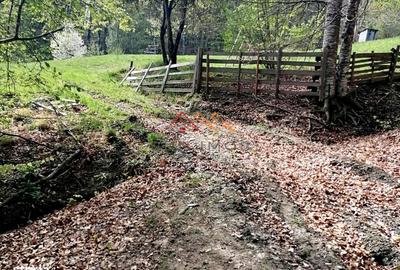 Teren de 23000 mp, în Valea Doftanei - 1