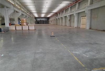 Spatiu Industrial - 1700 mp - Productie - Depozitare - Distributie - 6