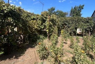 Casa km 5 cu teren mare - 11