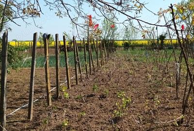 Casă cu 4 camere în Central - 2