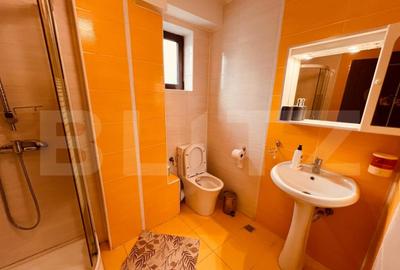 Casa 8 camere, 404 mp, zona Lapus - 12