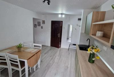 Apartament 2 camere de inchiriat - 4