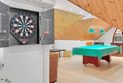 Vila Deosebita Brasov - 30