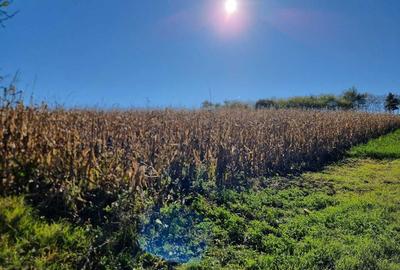 Casă cu 2 camere în Ulieș - 6