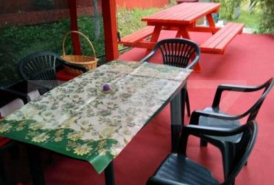 Casă cu 2 camere cu Teren 1153 Mp în Aurel Vlaicu - 3