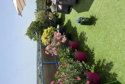 Vand apt tip Penthouse - 8