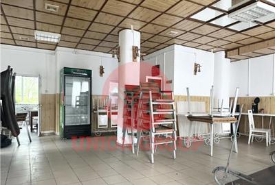 Pensiune cu 12 camere si Restaurant - Vedere Spre Lac, Efori - 4