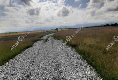 Teren de 8900 mp, în Central