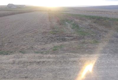 Spațiu comercial, în Central