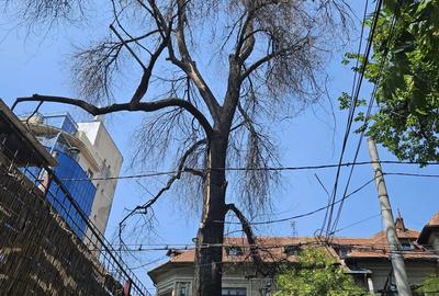 Apartament cu 2 camere decomandat în Iancului