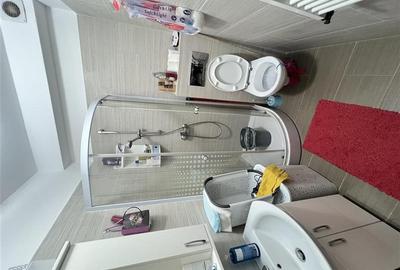 Apartament 1 camera etaj 2, loc Giroc, CENTRALA, loc de parcare - 5