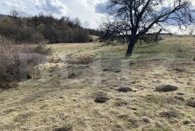 Teren de 7500 mp, în Central - 7