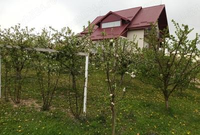 Casă în Oniceni - 5