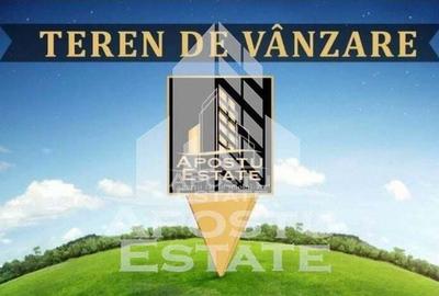 Teren de 3800 mp, în Ghioroc - 2