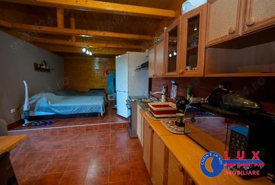 ID 6731 Casa de vacanta *Comuna MURIGHIOL!!! - 20