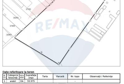 Vanzare Teren Constructii Adunatii-Copaceni, Deschidere Directa la DN5 - 3