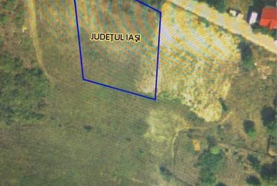 Spațiu comercial, în Vișan - 5