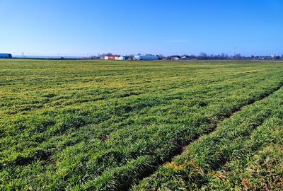 Teren intravilan pretabil parc fotovoltaic 43000mp - 2