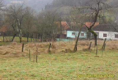 Teren de 1924 mp, în Moneasa - 1