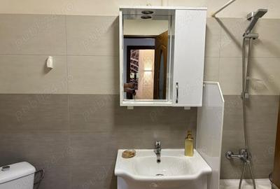 Garsonieră decomandată, mobilată în Dristor - 8