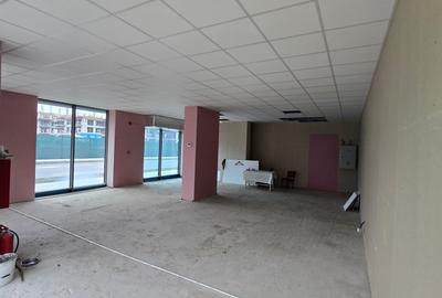 Spațiu comercial, de 103 mp, în Sub Arini - 8