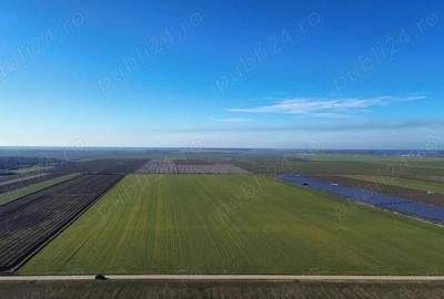 Vanzare teren. Oportunitate investitie, Jud.Giurgiu, Valter Maracineanu - 2