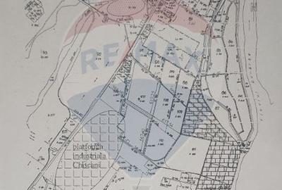 Teren agricol extravilan de 43500 mp, în Chiscani - 4