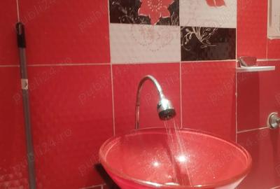 Garsonieră în Cișmigiu - 7