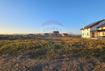 Teren 503mp Halchiu / Strada Ciucasului - 4