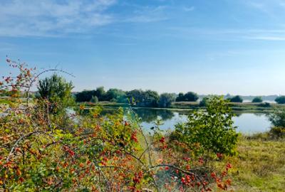 Teren Lacul Zmeul Crevedia - 3