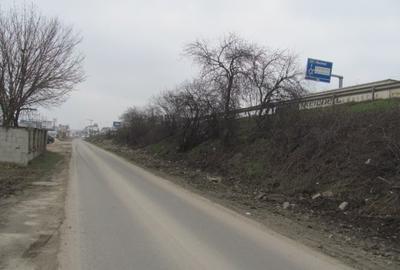 Teren Construcții intravilan de 8245 mp, în Bragadiru - 2