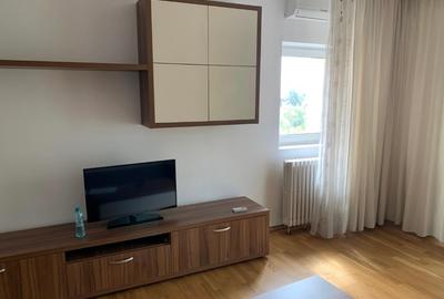 UNIRII,apartament mobilat si utilat complet, imobil monolit,stradal pe BUREBISTA - 7