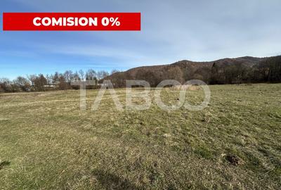 COMISION 0% Teren extravilan 1630 mp langa Rau pe Valea Sebesului - 2
