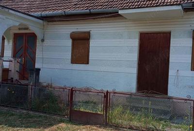 Casă cu 4 camere cu Teren 1239 Mp în Certeju de Sus - 4