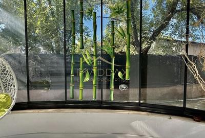 Spațiu comercial, de 60 mp, în Pantelimon - 15