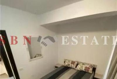 Apartament cu 2 camere decomandat în Roșu - 9